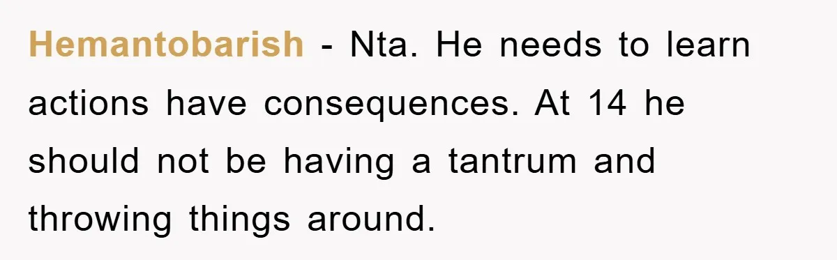Hemantobarish − Nta. He needs to learn actions have consequences. At 14 he should not be having a tantrum and throwing things around.