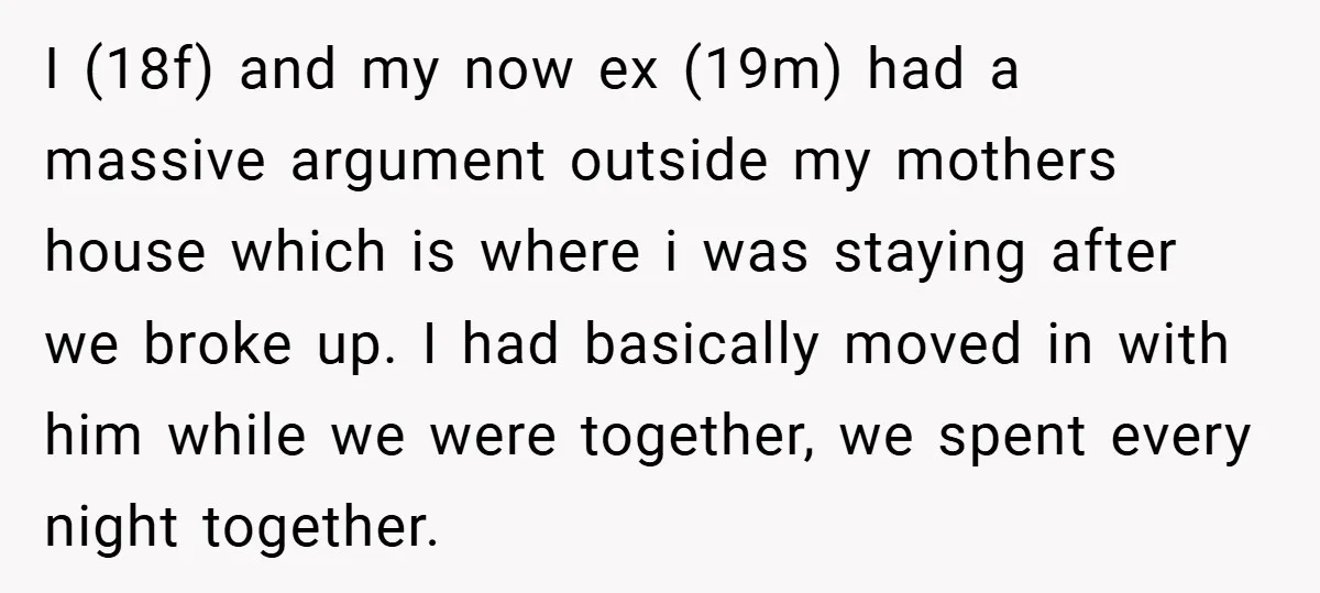 I (18f) and my now ex (19m) had a massive argument outside my mothers house which is where i was staying after we broke up. I had basically moved in...