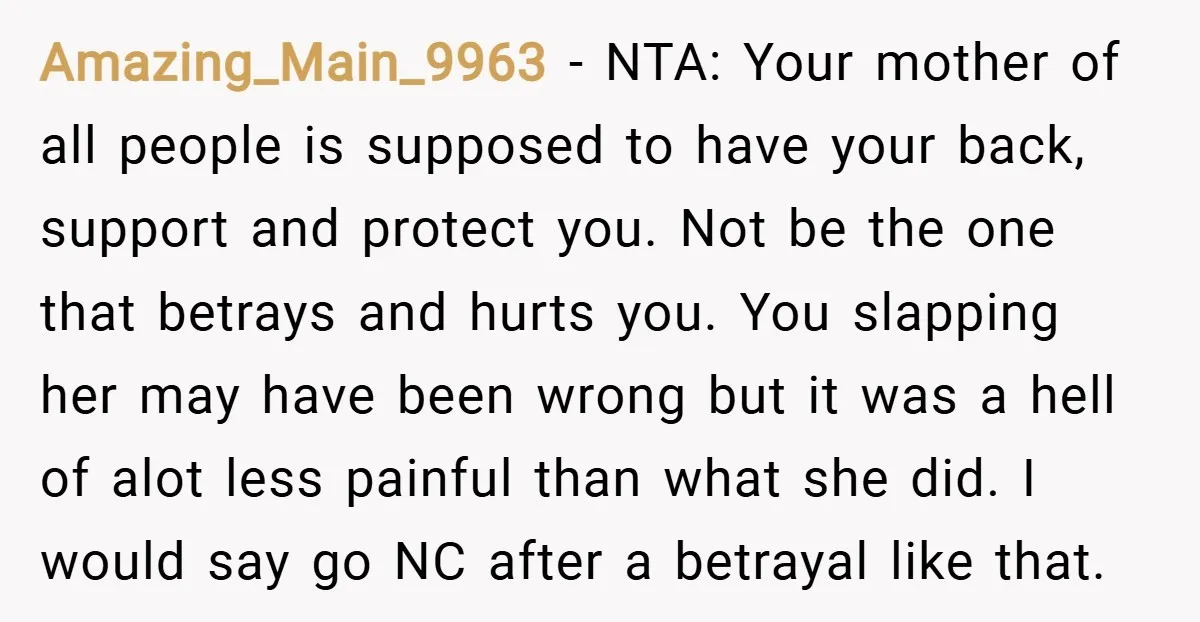 Amazing_Main_9963 − NTA: Your mother of all people is supposed to have your back, support and protect you. Not be the one that betrays and hurts you. You slapping her...