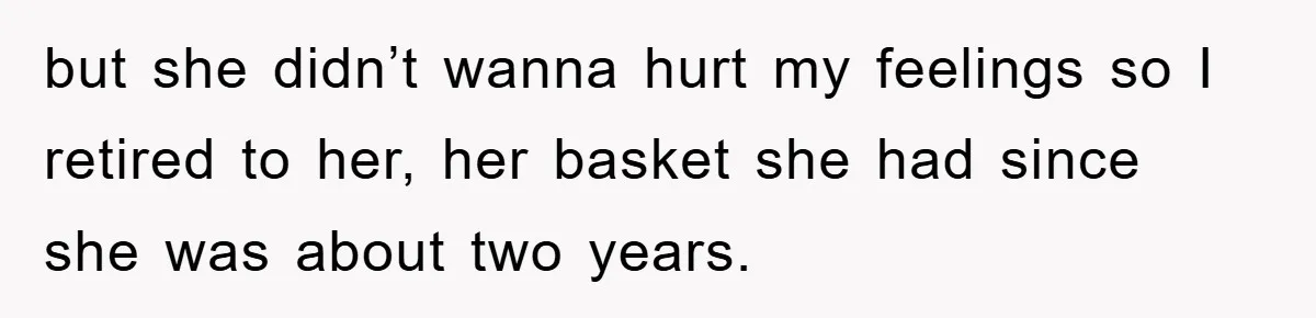 but she didn’t wanna hurt my feelings so I retired to her, her basket she had since she was about two years.