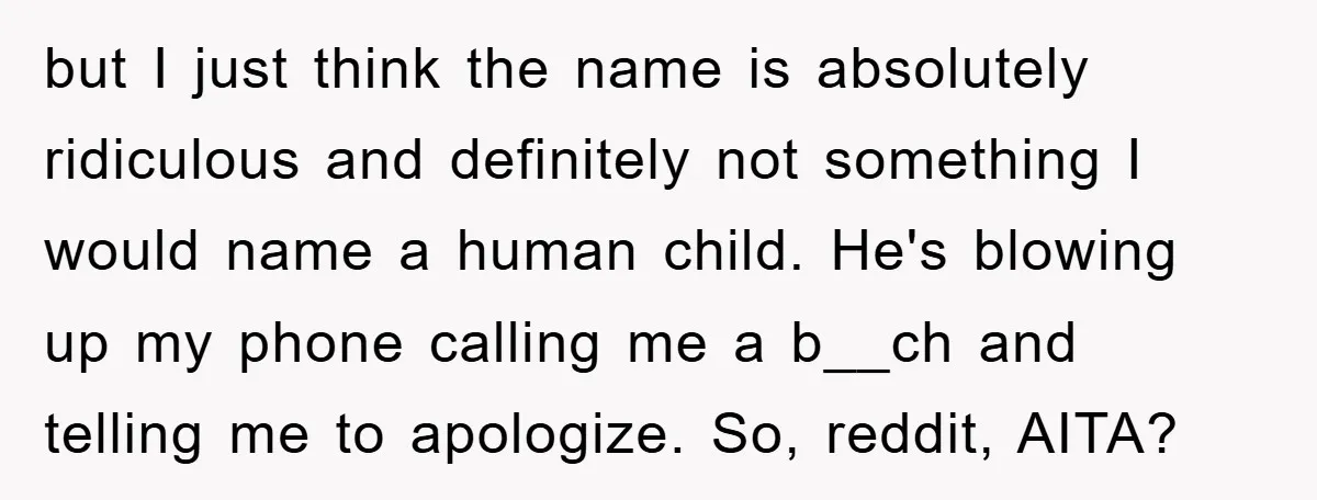 but I just think the name is absolutely ridiculous and definitely not something I would name a human child. He's blowing up my phone calling me a b__ch and telling...