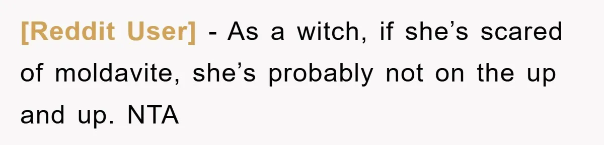 [Reddit User] − As a witch, if she’s scared of moldavite, she’s probably not on the up and up. NTA