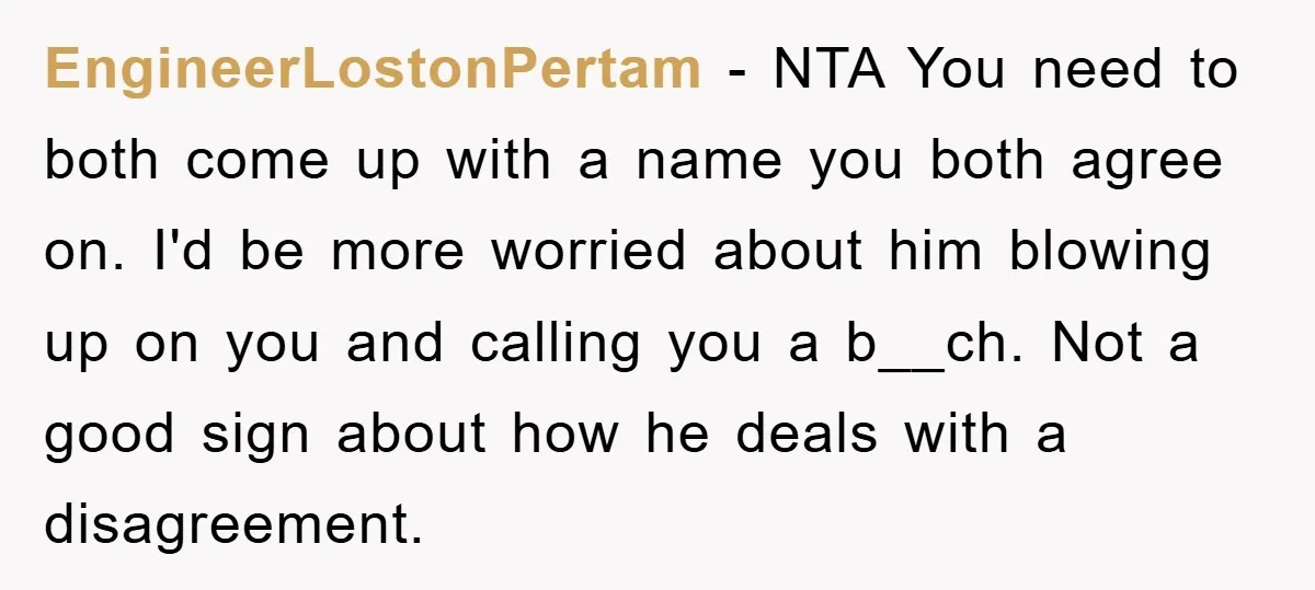 EngineerLostonPertam − NTA You need to both come up with a name you both agree on. I'd be more worried about him blowing up on you and calling you a...