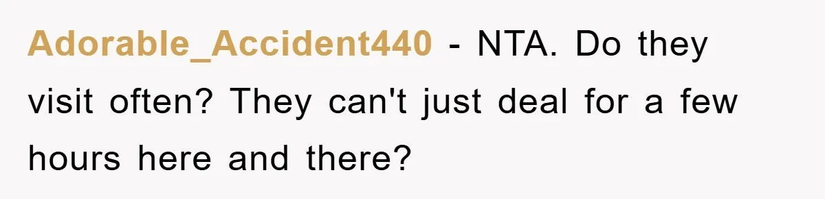 Adorable_Accident440 − NTA. Do they visit often? They can't just deal for a few hours here and there?