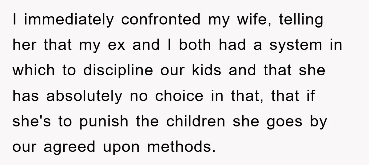 I immediately confronted my wife, telling her that my ex and I both had a system in which to discipline our kids and that she has absolutely no choice in...