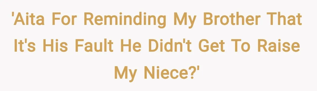 'AITA for reminding my brother that it's his fault he didn't get to raise my niece?'