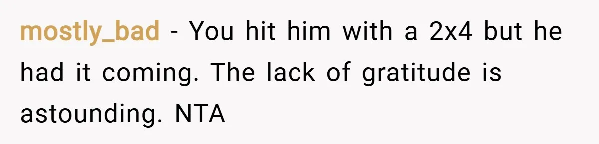 mostly_bad − You hit him with a 2x4 but he had it coming. The lack of gratitude is astounding. NTA