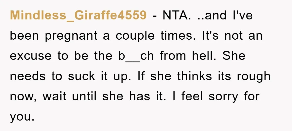 Mindless_Giraffe4559 - NTA. ..and I've been pregnant a couple times. It's not an excuse to be the b__ch from hell. She needs to suck it up. If she thinks its...