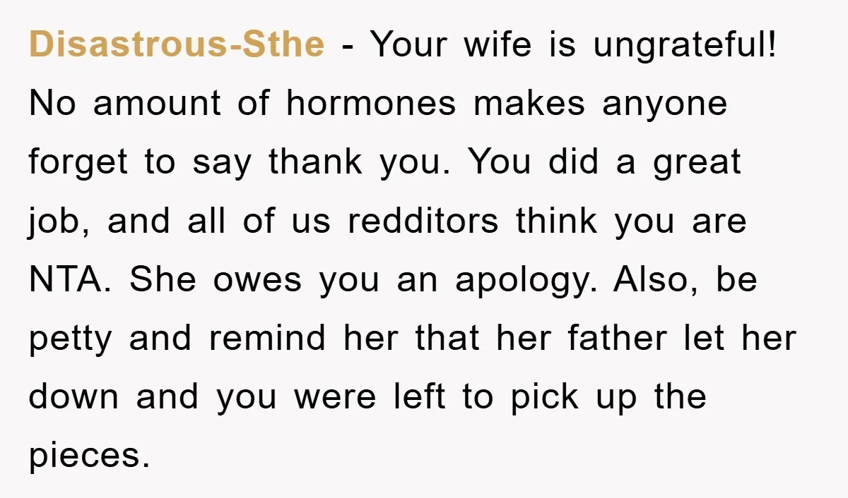 Disastrous-Sthe - Your wife is ungrateful! No amount of hormones makes anyone forget to say thank you. You did a great job, and all of us redditors think you are...