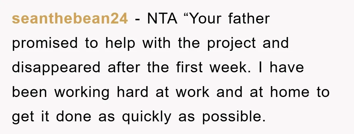 seanthebean24 - NTA “Your father promised to help with the project and disappeared after the first week. I have been working hard at work and at home to get it...