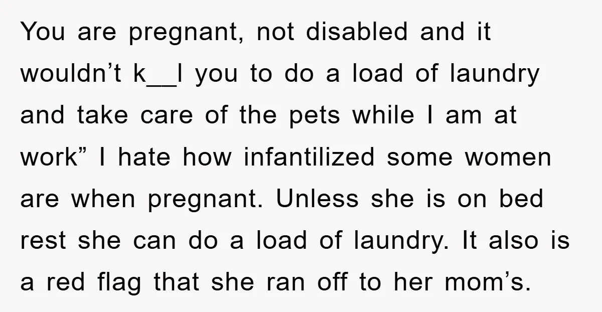 You are pregnant, not disabled and it wouldn’t k__l you to do a load of laundry and take care of the pets while I am at work” I hate how...