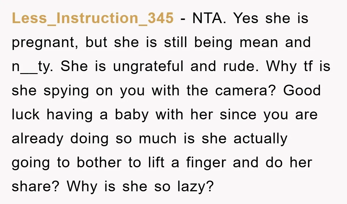 Less_Instruction_345 - NTA. Yes she is pregnant, but she is still being mean and n__ty. She is ungrateful and rude. Why tf is she spying on you with the camera?...