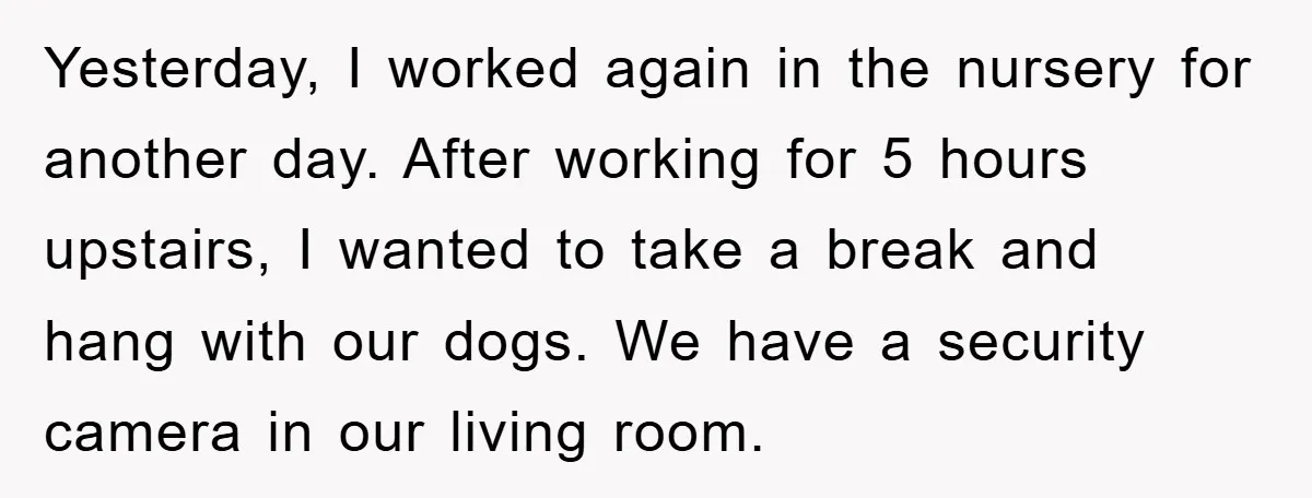 Yesterday, I worked again in the nursery for another day. After working for 5 hours upstairs, I wanted to take a break and hang with our dogs. We have a...