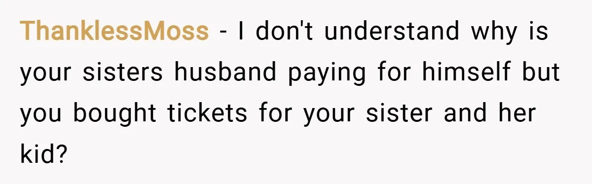ThanklessMoss − I don't understand why is your sisters husband paying for himself but you bought tickets for your sister and her kid?