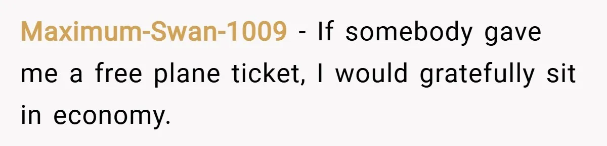 Maximum-Swan-1009 − If somebody gave me a free plane ticket, I would gratefully sit in economy.
