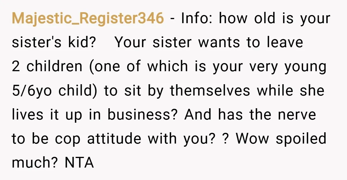 Majestic_Register346 − Info: how old is your sister's kid? Your sister wants to leave 2 children (one of which is your very young 5/6yo child) to sit by themselves while...
