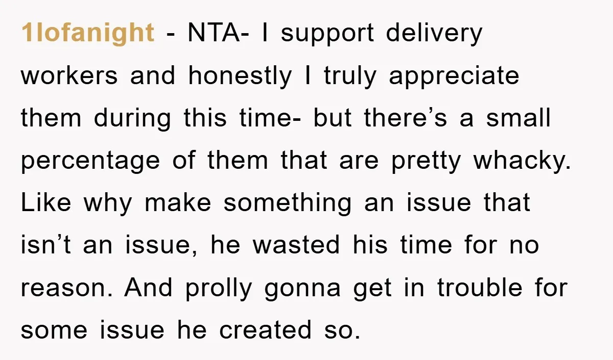 1lofanight − NTA- I support delivery workers and honestly I truly appreciate them during this time- but there’s a small percentage of them that are pretty whacky. Like why make...
