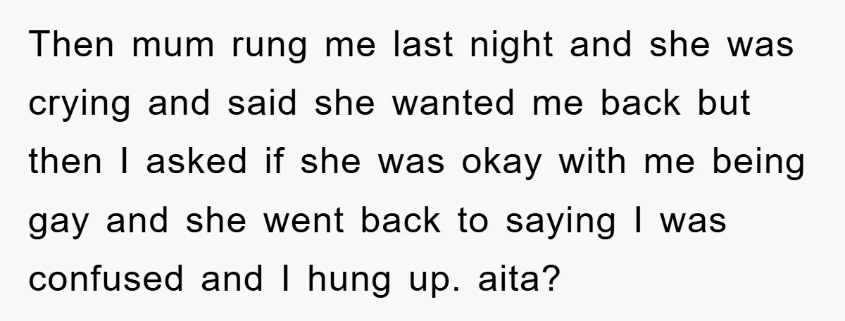 Then mum rung me last night and she was crying and said she wanted me back but then I asked if she was okay with me being gay and she...