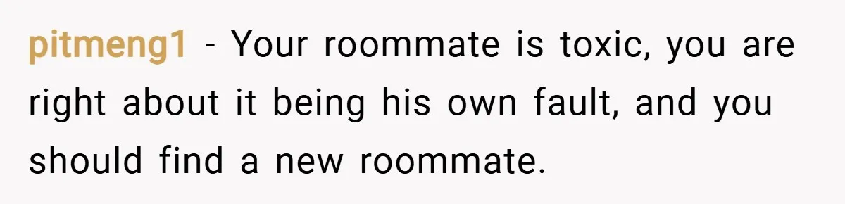 pitmeng1 − Your roommate is toxic, you are right about it being his own fault, and you should find a new roommate.