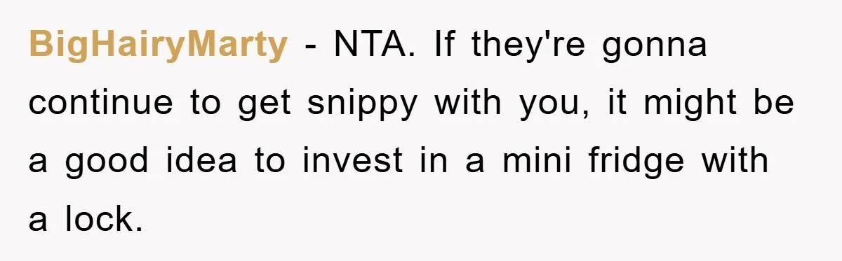 BigHairyMarty − NTA. If they're gonna continue to get snippy with you, it might be a good idea to invest in a mini fridge with a lock.