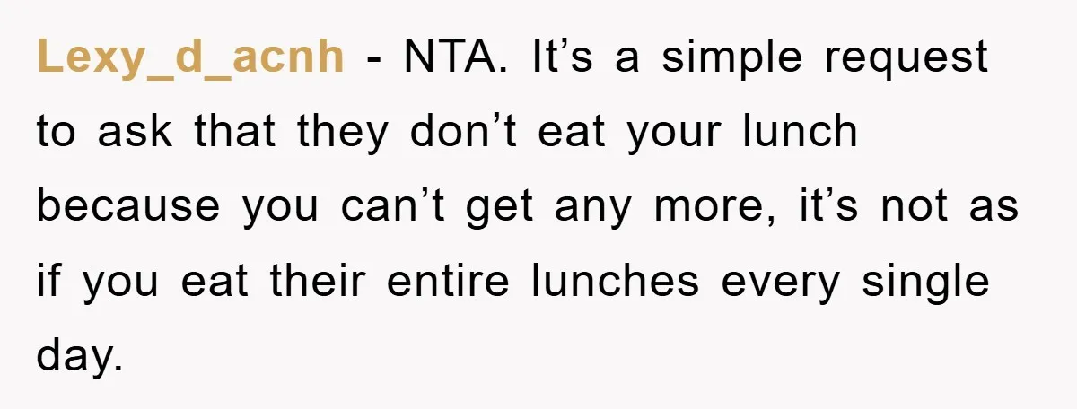 Lexy_d_acnh − NTA. It’s a simple request to ask that they don’t eat your lunch because you can’t get any more, it’s not as if you eat their entire lunches...
