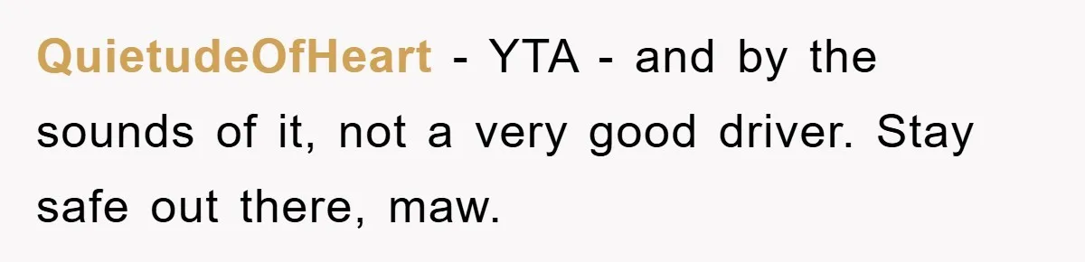 QuietudeOfHeart − YTA - and by the sounds of it, not a very good driver. Stay safe out there, maw.