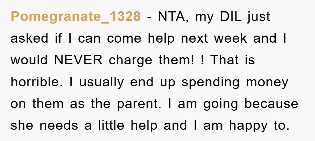 Pomegranate_1328 - NTA, my DIL just asked if I can come help next week and I would NEVER charge them! ! That is horrible. I usually end up spending money...