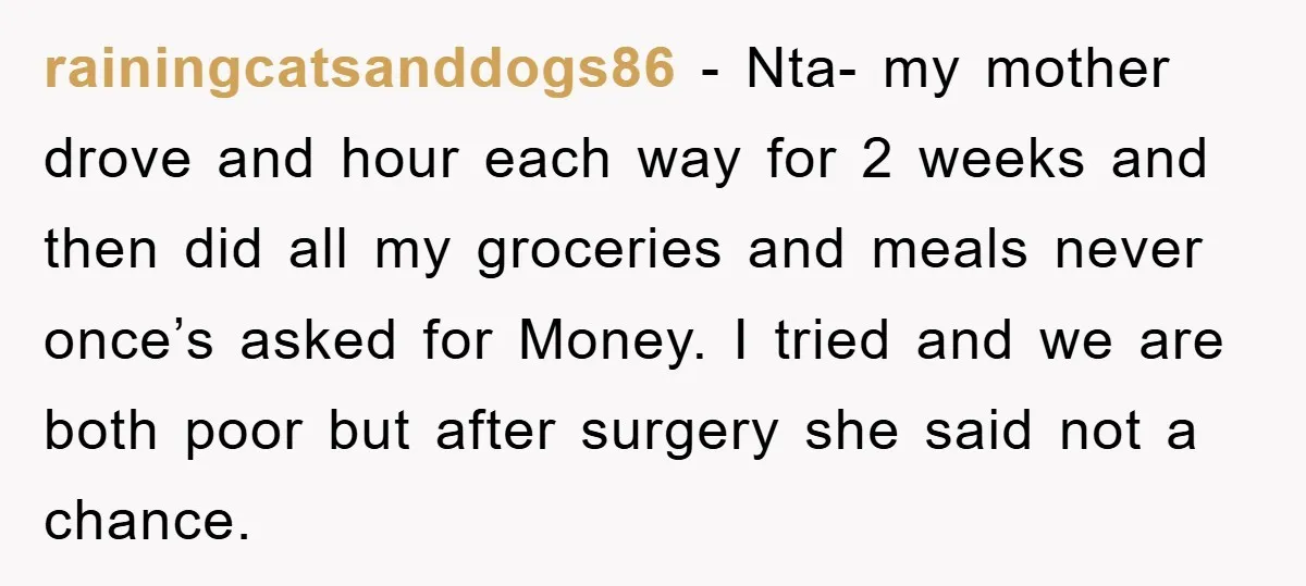 rainingcatsanddogs86 - Nta- my mother drove and hour each way for 2 weeks and then did all my groceries and meals never once’s asked for Money. I tried and we...