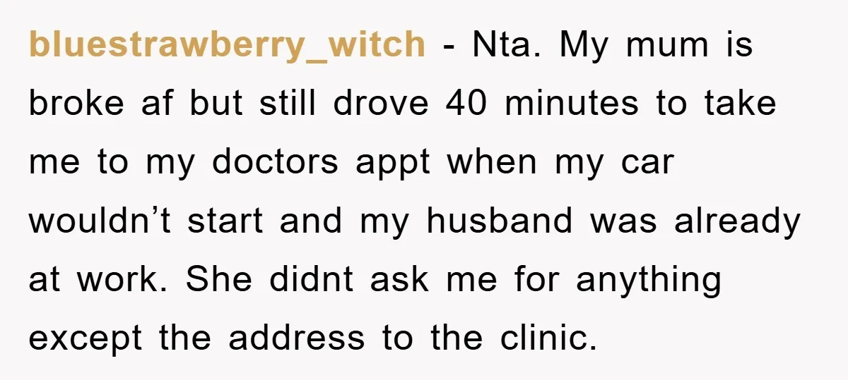 bluestrawberry_witch - Nta. My mum is broke af but still drove 40 minutes to take me to my doctors appt when my car wouldn’t start and my husband was already...
