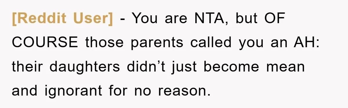 [Reddit User] - You are NTA, but OF COURSE those parents called you an AH: their daughters didn’t just become mean and ignorant for no reason.