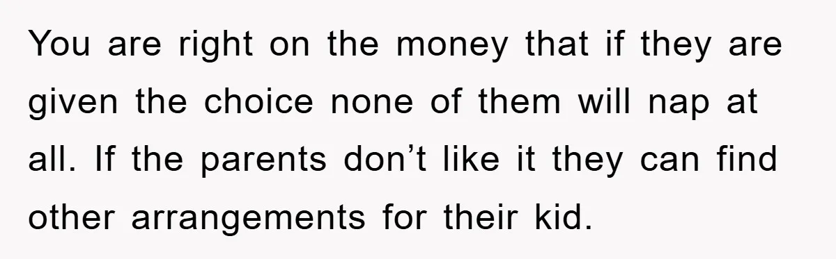 You are right on the money that if they are given the choice none of them will nap at all. If the parents don’t like it they can find other...