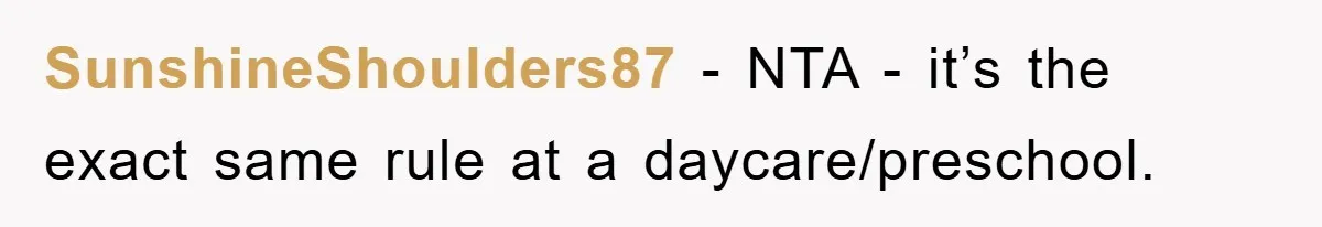 SunshineShoulders87 − NTA - it’s the exact same rule at a daycare/preschool.