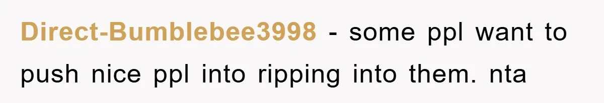 Direct-Bumblebee3998 − some ppl want to push nice ppl into ripping into them. nta