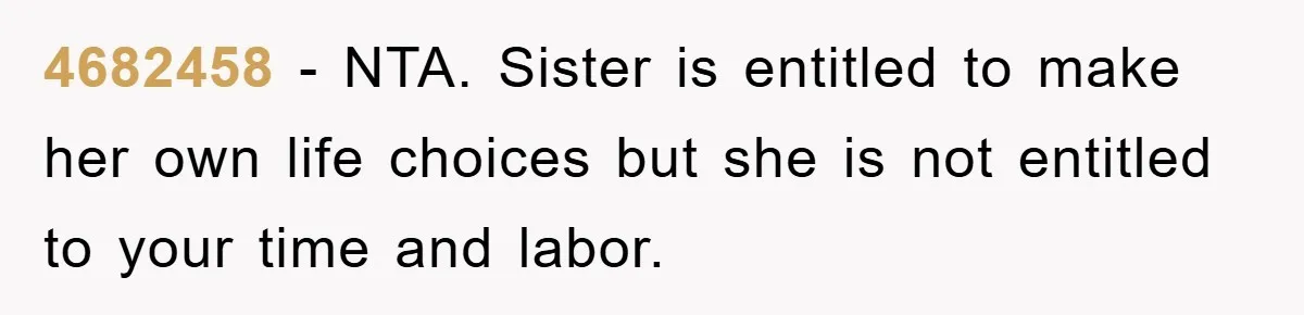 4682458 - NTA. Sister is entitled to make her own life choices but she is not entitled to your time and labor.
