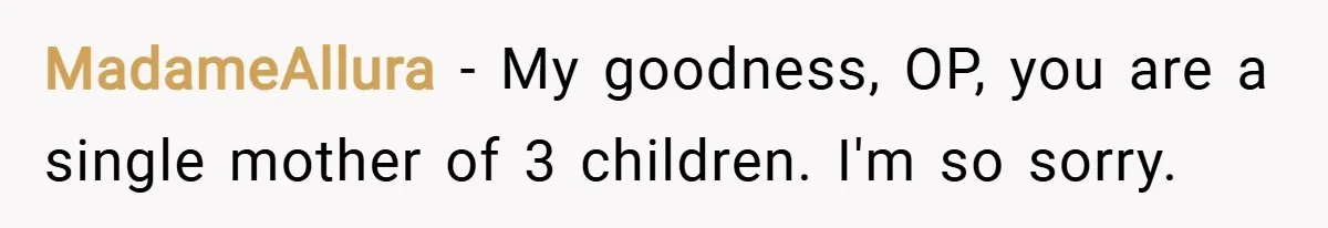MadameAllura − My goodness, OP, you are a single mother of 3 children. I'm so sorry.