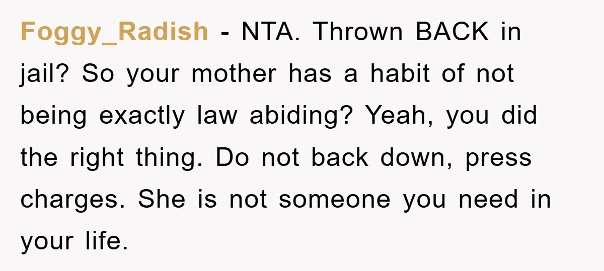 Foggy_Radish − NTA. Thrown BACK in jail? So your mother has a habit of not being exactly law abiding? Yeah, you did the right thing. Do not back down, press...