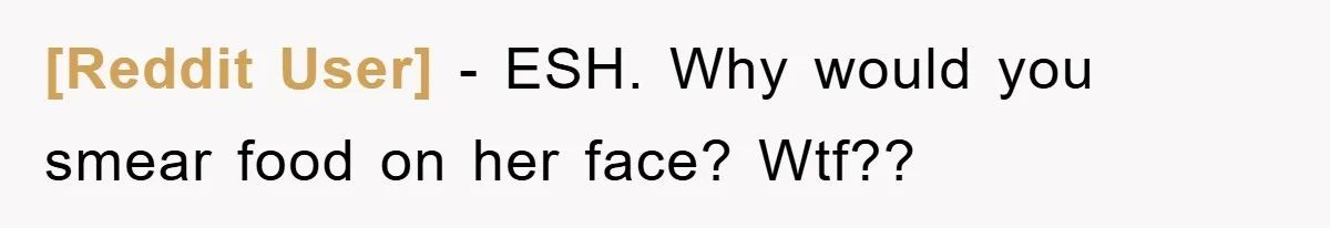 [Reddit User] - ESH. Why would you smear food on her face? Wtf??
