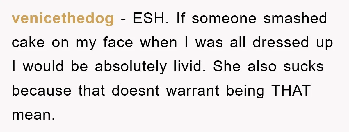 venicethedog - ESH. If someone smashed cake on my face when I was all dressed up I would be absolutely livid. She also sucks because that doesnt warrant being THAT...
