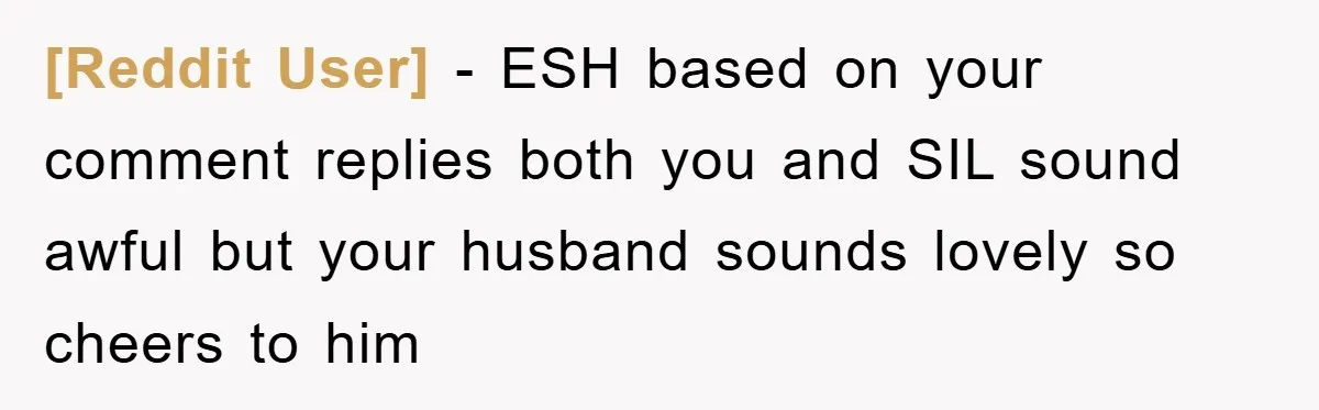 [Reddit User] - ESH based on your comment replies both you and SIL sound awful but your husband sounds lovely so cheers to him