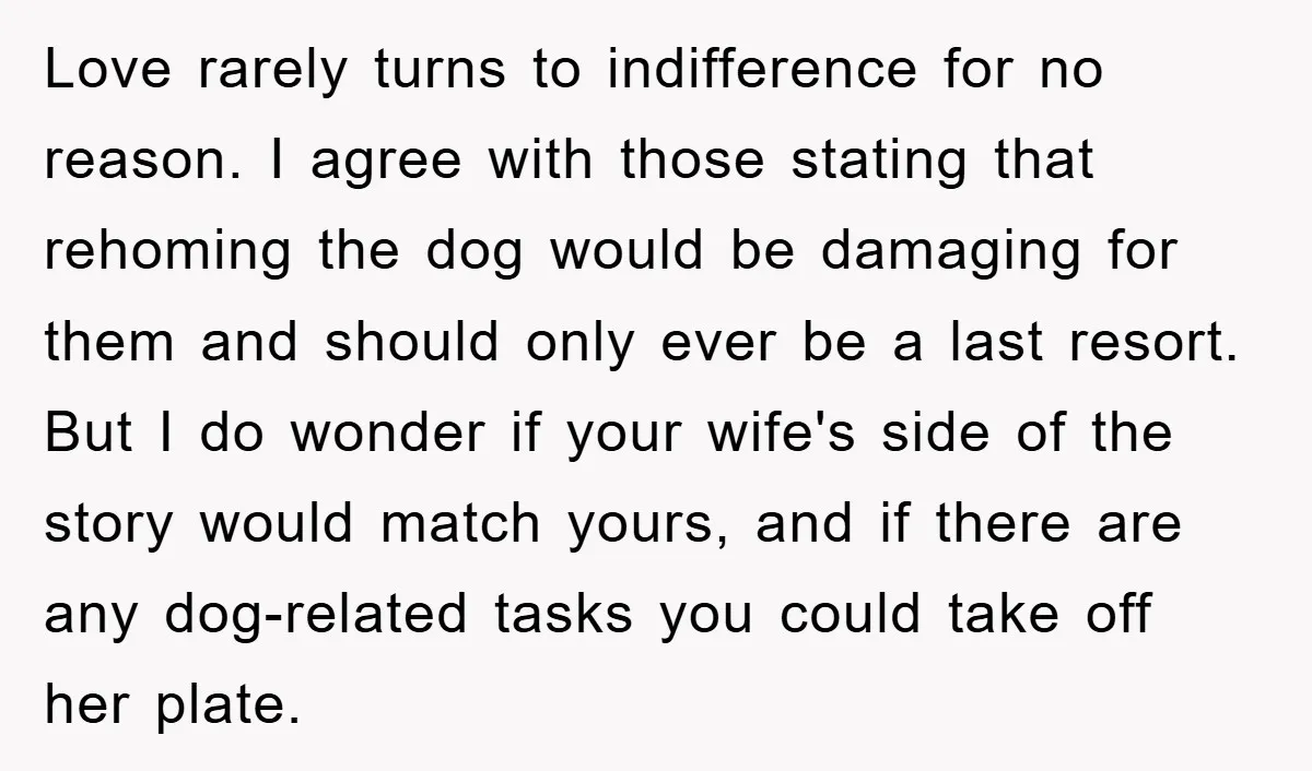 Love rarely turns to indifference for no reason. I agree with those stating that rehoming the dog would be damaging for them and should only ever be a last resort....