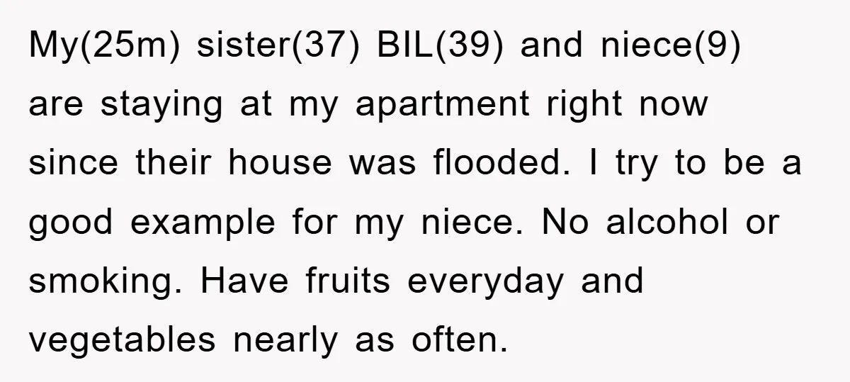 My(25m) sister(37) BIL(39) and niece(9) are staying at my apartment right now since their house was flooded. I try to be a good example for my niece. No alcohol or...