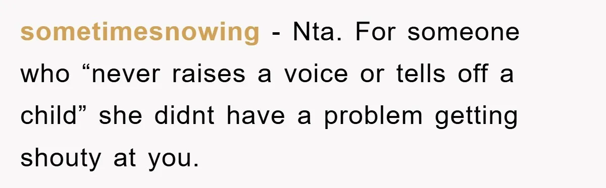 sometimesnowing − Nta. For someone who “never raises a voice or tells off a child” she didnt have a problem getting shouty at you.