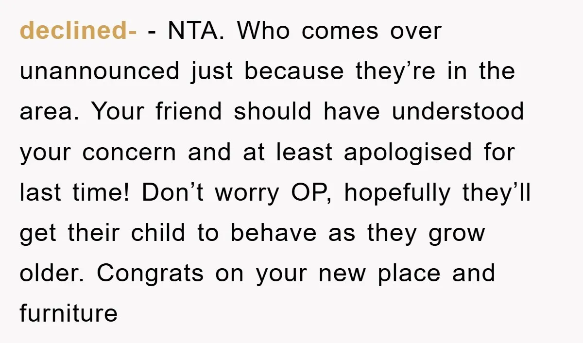 declined- − NTA. Who comes over unannounced just because they’re in the area. Your friend should have understood your concern and at least apologised for last time! Don’t worry OP,...