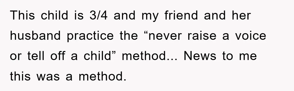 This child is 3/4 and my friend and her husband practice the “never raise a voice or tell off a child” method... News to me this was a method.