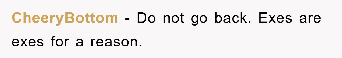 CheeryBottom − Do not go back. Exes are exes for a reason.