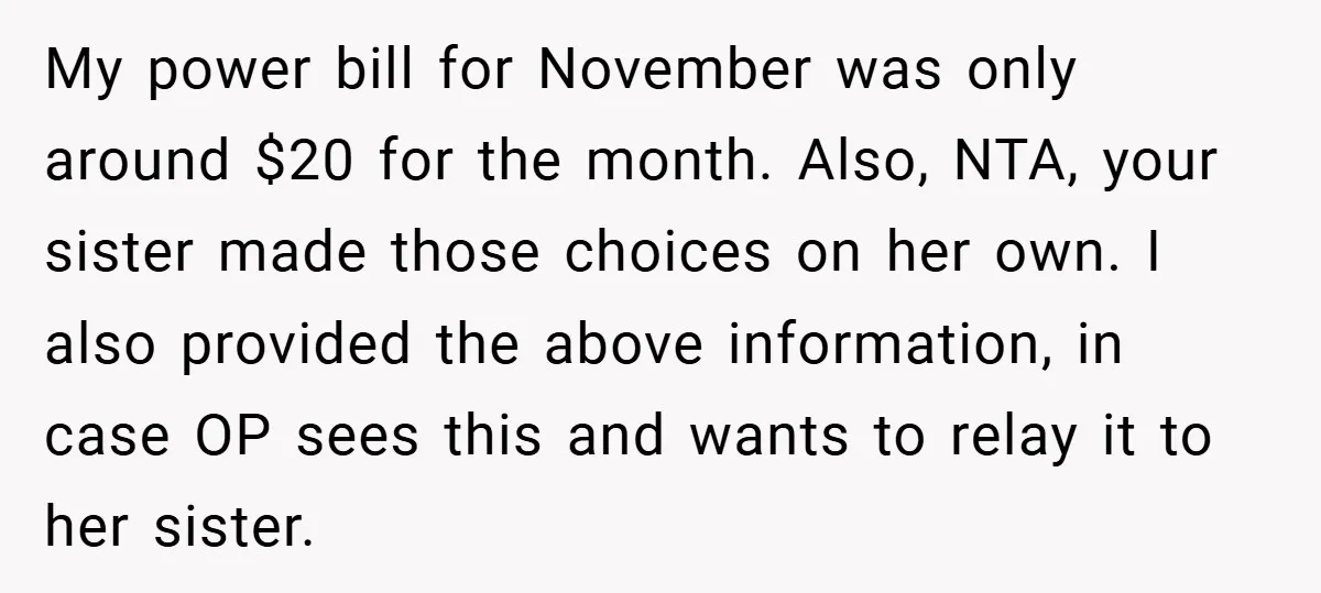 My power bill for November was only around $20 for the month. Also, NTA, your sister made those choices on her own. I also provided the above information, in case...