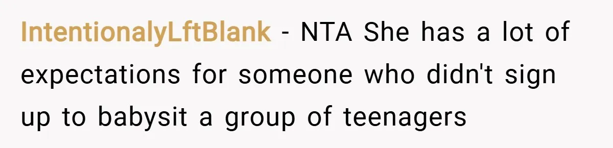 IntentionalyLftBlank − NTA She has a lot of expectations for someone who didn't sign up to babysit a group of teenagers