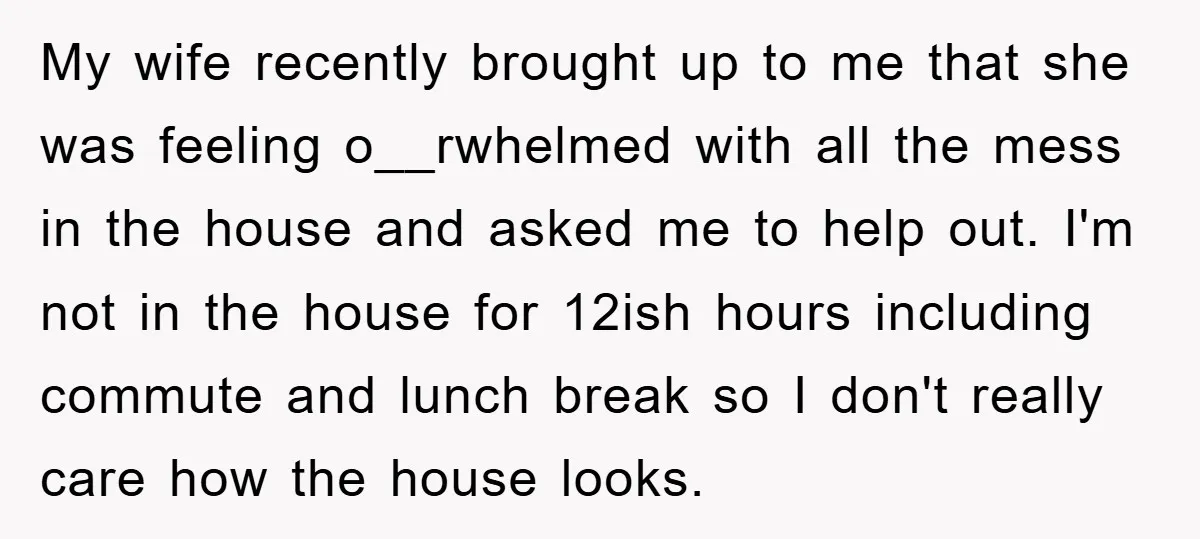 My wife recently brought up to me that she was feeling o__rwhelmed with all the mess in the house and asked me to help out. I'm not in the house...