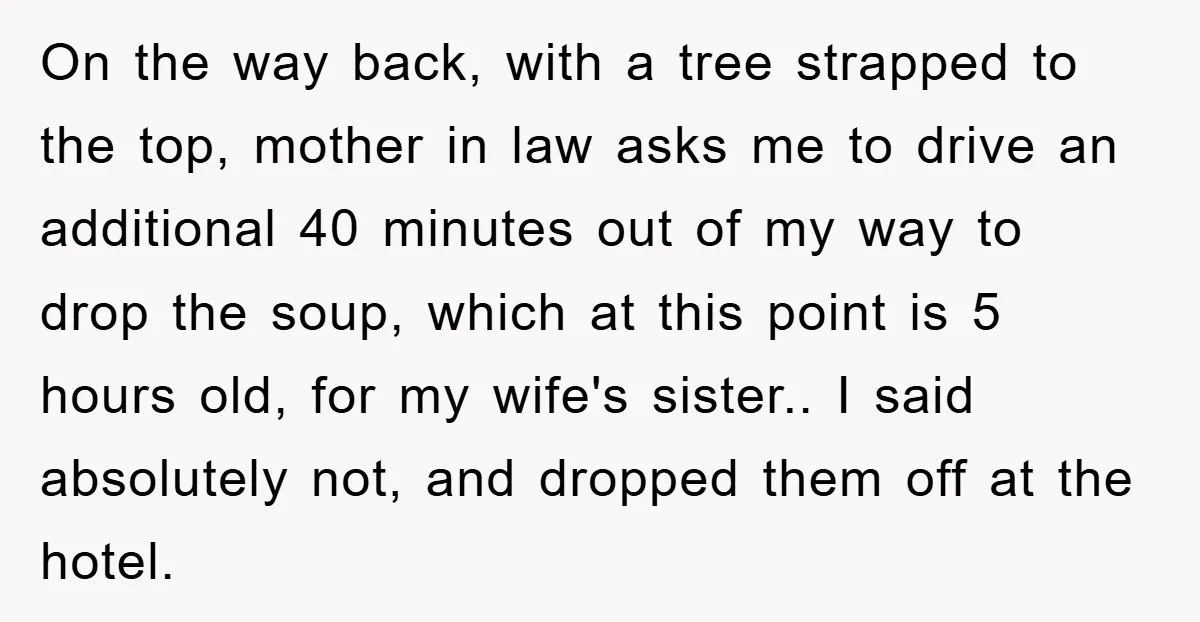 On the way back, with a tree strapped to the top, mother in law asks me to drive an additional 40 minutes out of my way to drop the soup,...