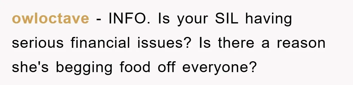owloctave − INFO. Is your SIL having serious financial issues? Is there a reason she's begging food off everyone?